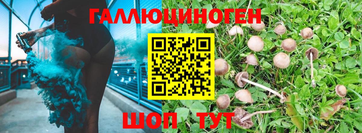 Псилоцибиновые грибы мухоморы Назарово